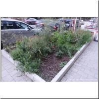2020-06-01 Guertel 01.JPG